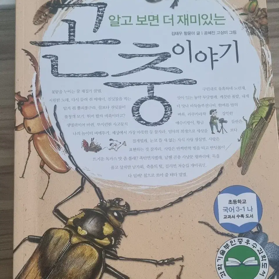 곤충이야기