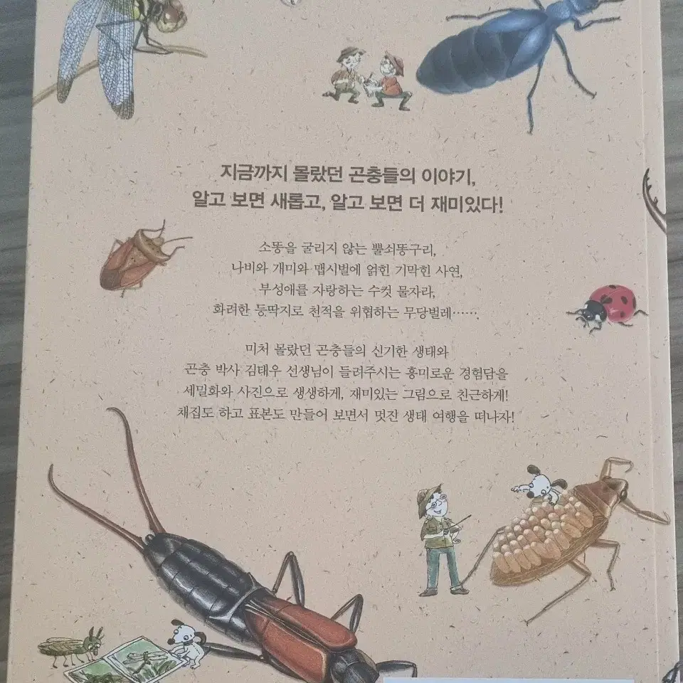 곤충이야기