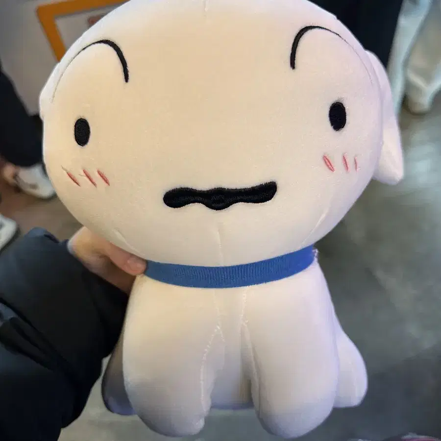 인형모음 흰둥이 테드 곰 강아지 뚱이 철수 헬로키티 등등