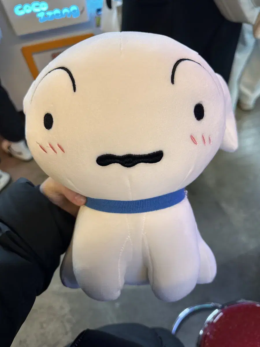 인형모음 흰둥이 테드 곰 강아지 뚱이 철수 헬로키티 등등