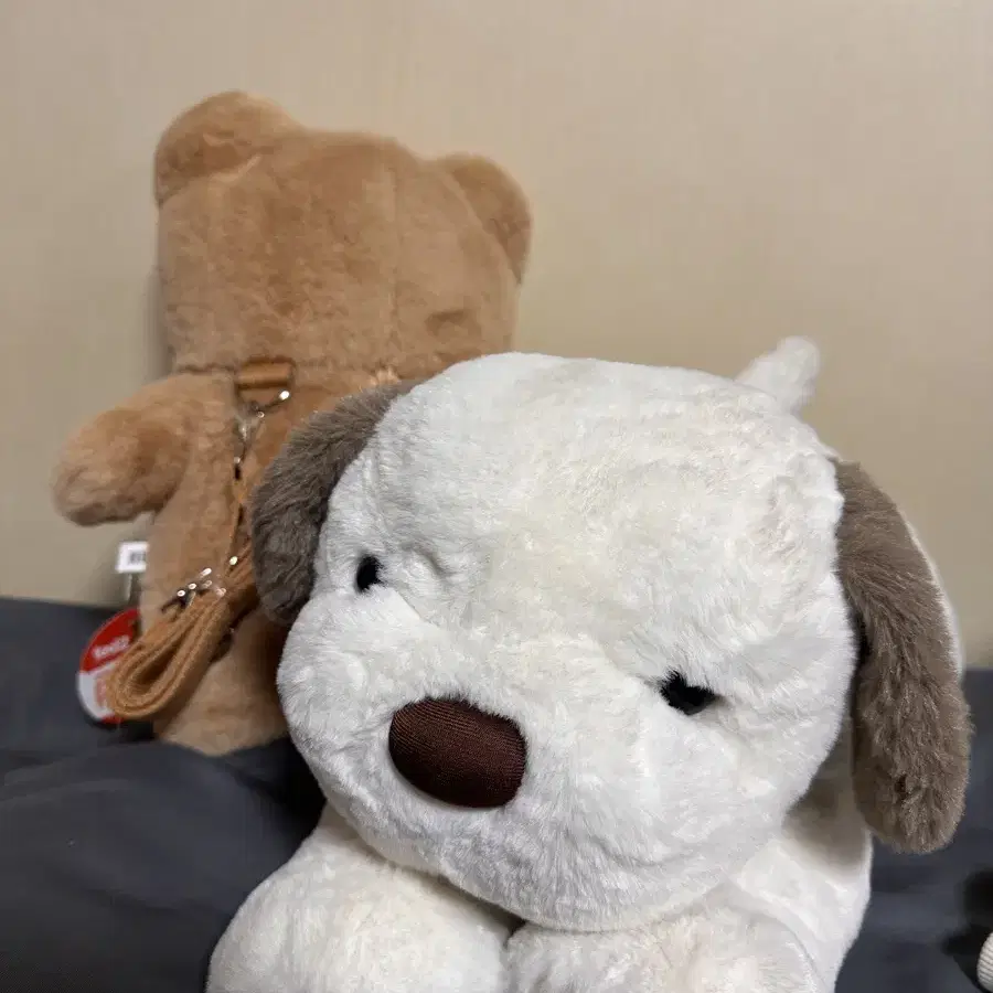 인형모음 흰둥이 테드 곰 강아지 뚱이 철수 헬로키티 등등