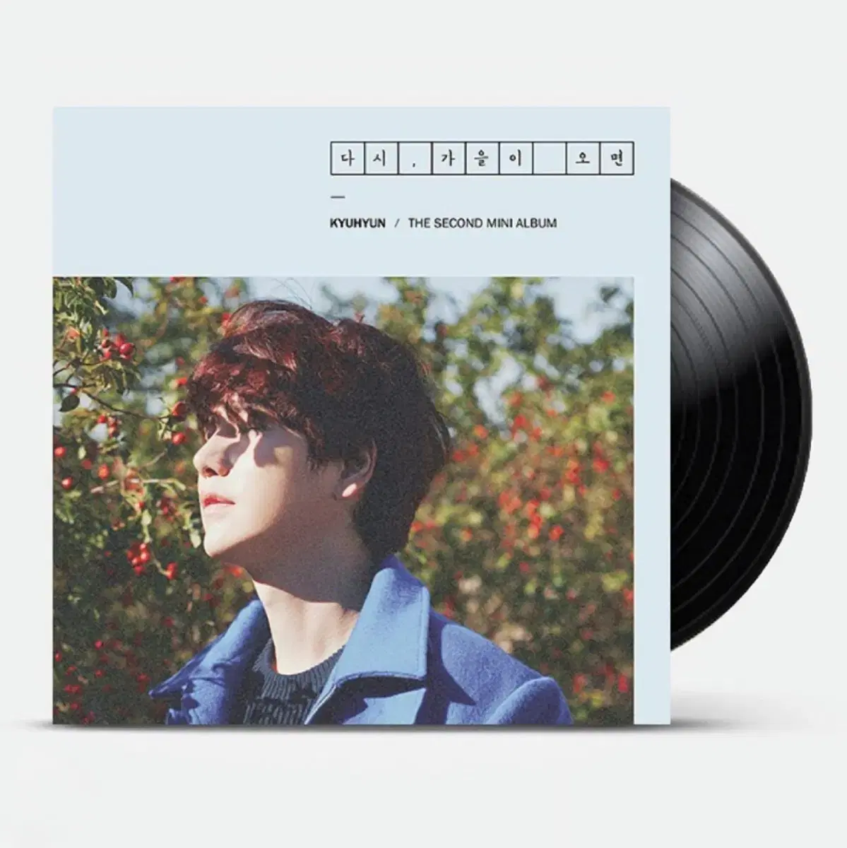 슈퍼주니어 규현 다시 가을이 오면 미개봉 LP