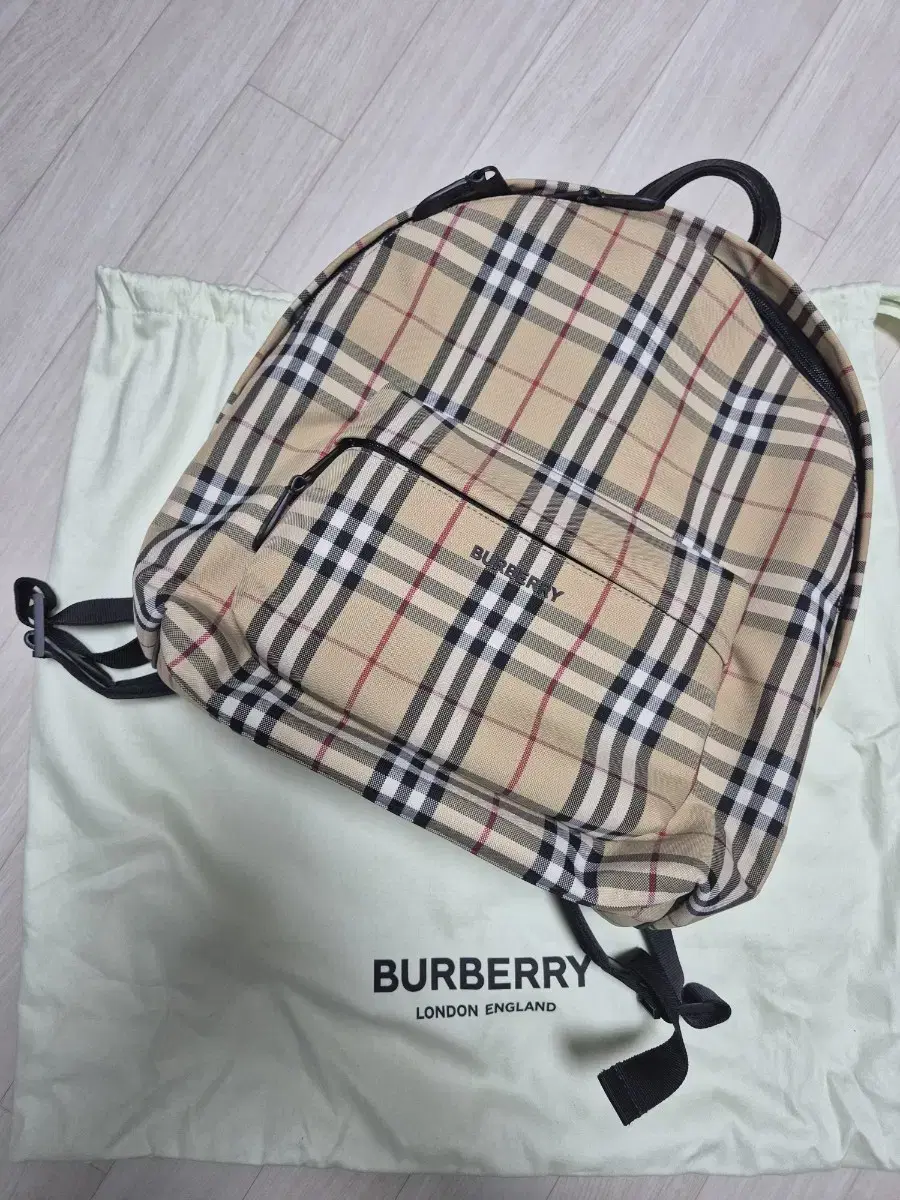 Burberry Backpack (Worn X)