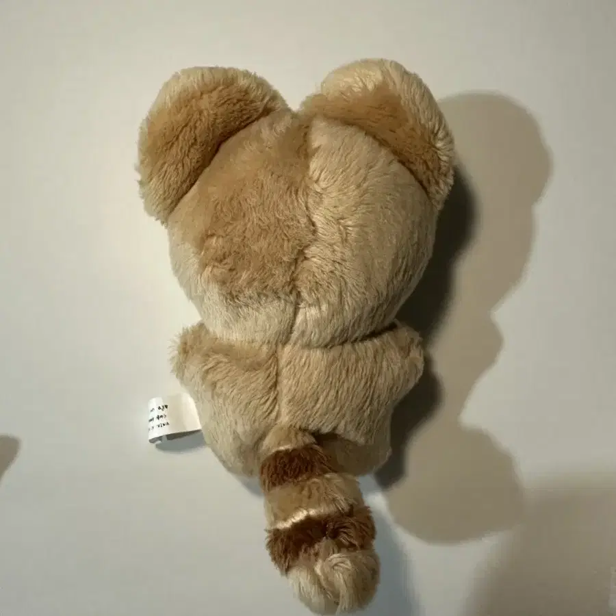 제베원 장하오 뽀솜마을  짱뽀 10cm 인형 팝니다