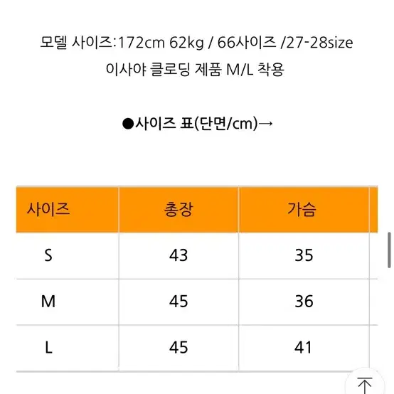 이사야클로딩 레이스타이탑 M