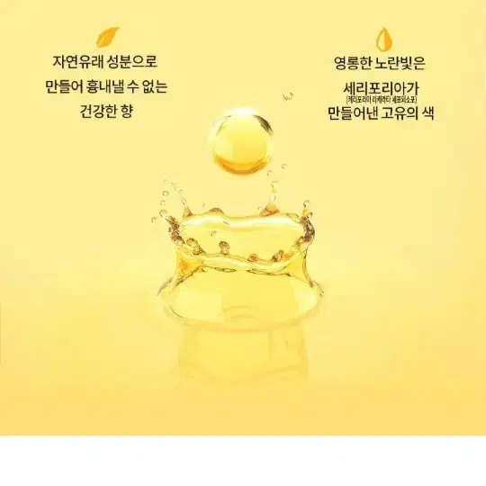 세포랩   바이오제닉 에센스 155ml+30ml   2세트 가격