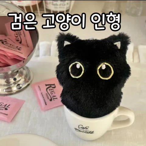 검은고양이 인형 키링