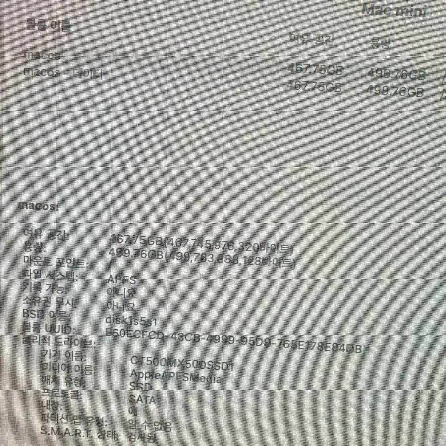 맥미니 SSD500기가