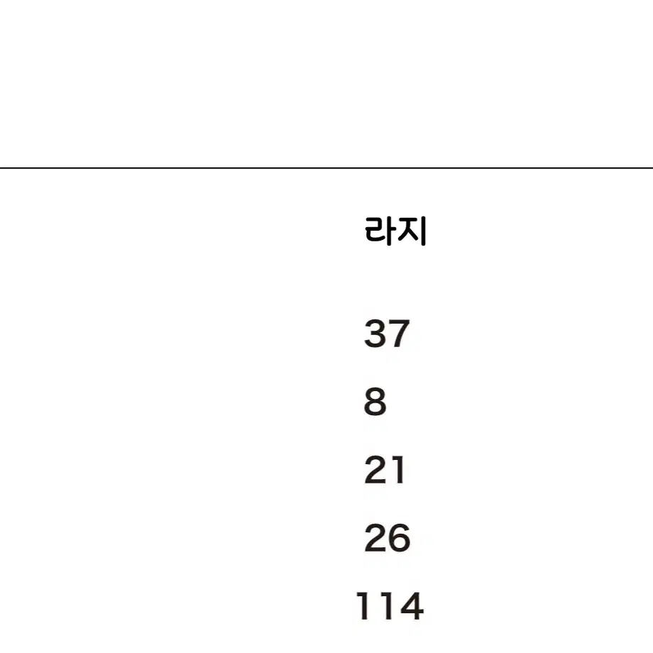 2th Desire 가죽 Y2K 실버 블랙 브라운 레트로 빅스트랩 숄더백