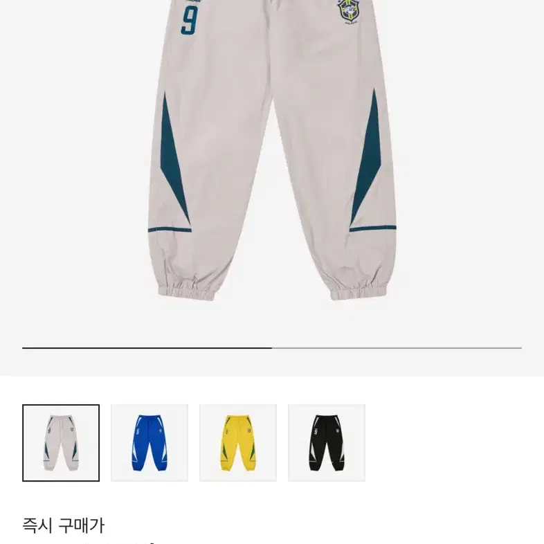 팔라스 프로 쉘 팬츠 24FW 팝니다