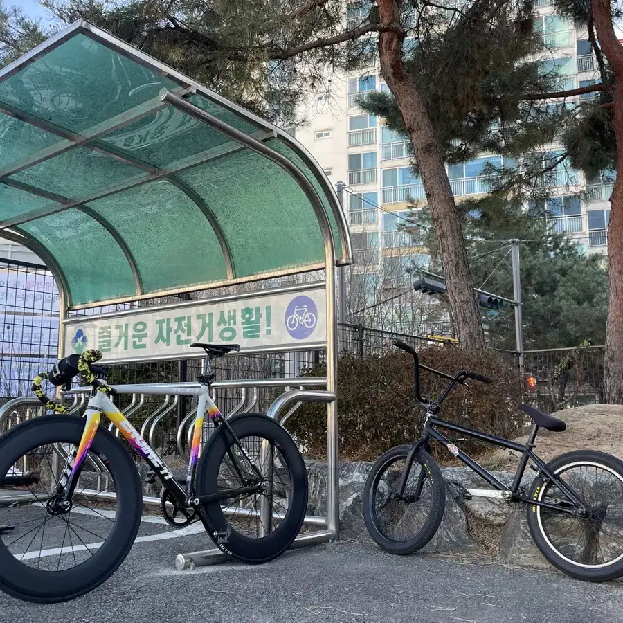 Bmx 삽니다