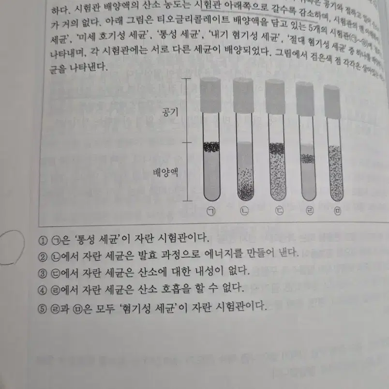 이유진 피셋 언어논리 알고리즘 문제집 책도서 psat