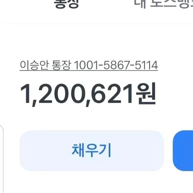 치넬리 비고렐리 샤크 프레임셋 54,56 사이즈 구해요