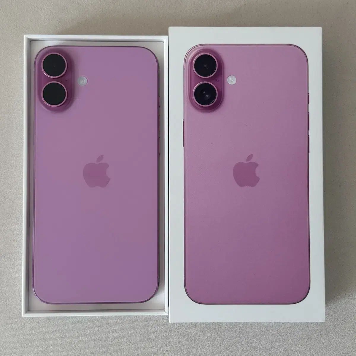 iPhone 16 Plus 256G Pink