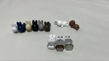 미피 테트라피비츠 11마리