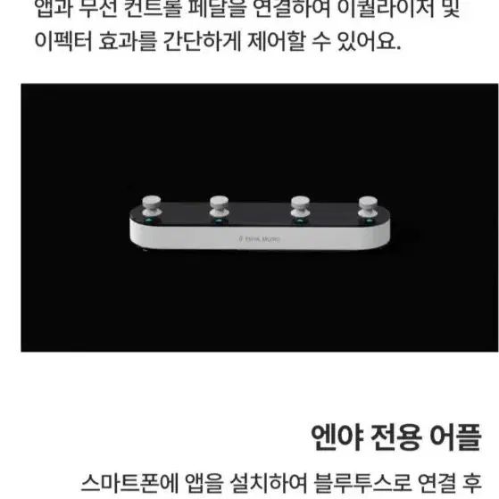 엔야 카본 기타