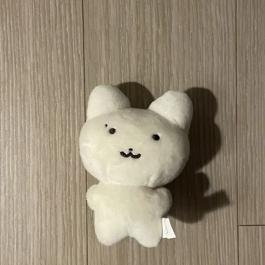 더보이즈 주연 인형 쮸부냥 양도