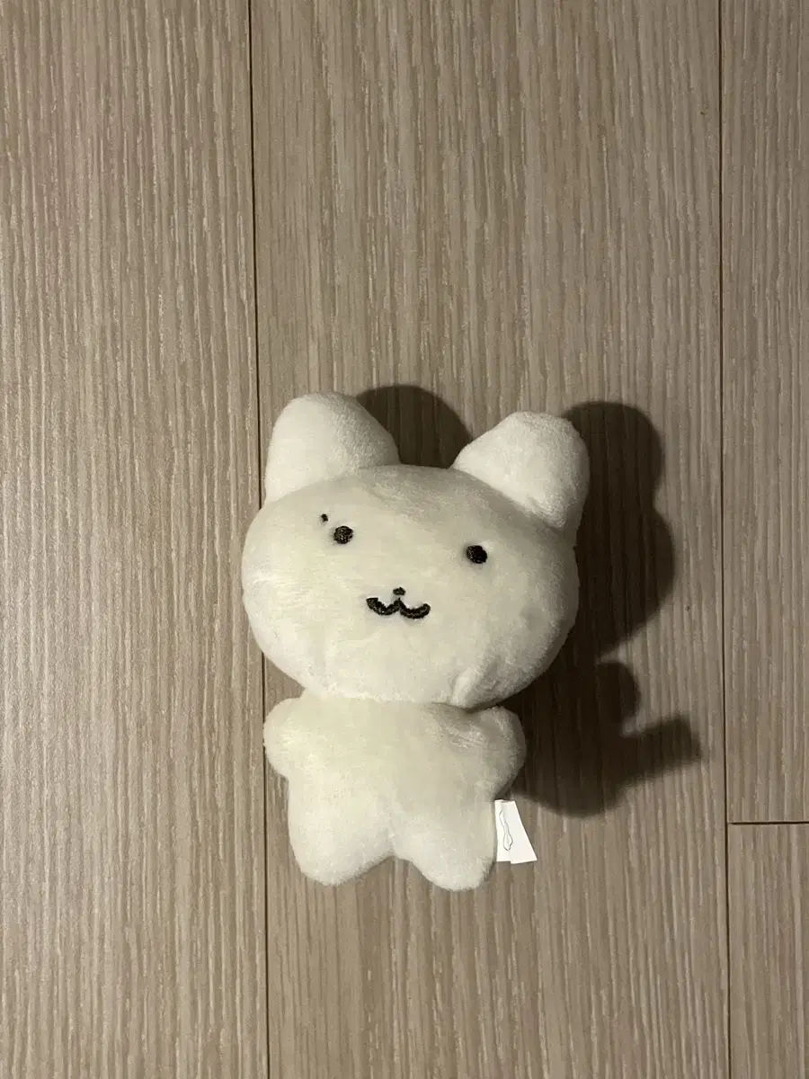 더보이즈 주연 인형 쮸부냥 양도