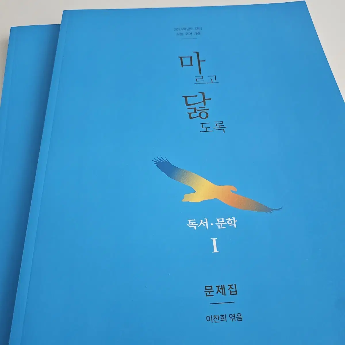 마닳 독서 문학 1(i) 기출 문제집 (2024)