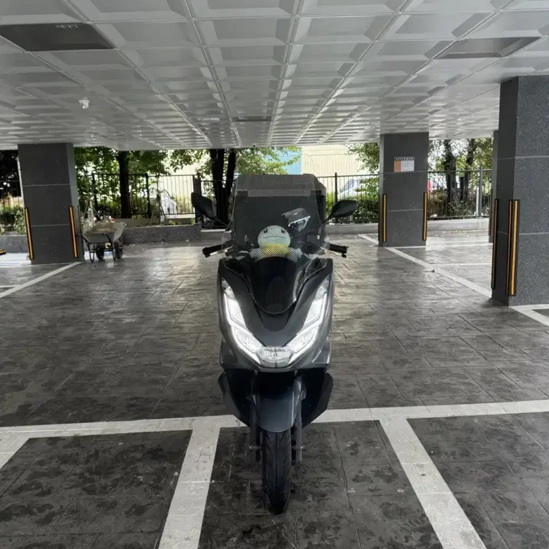 PCX125 2022년식 44,@@@km 판매