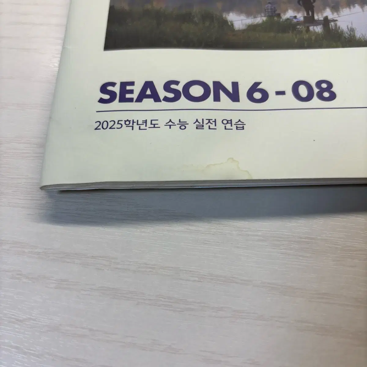 간쓸개 시즌3, 시즌6 파이널