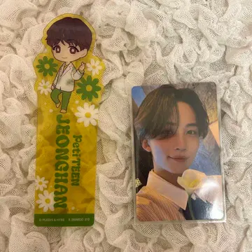 세븐틴 정한 트레이딩카드 dream 도쿄돔