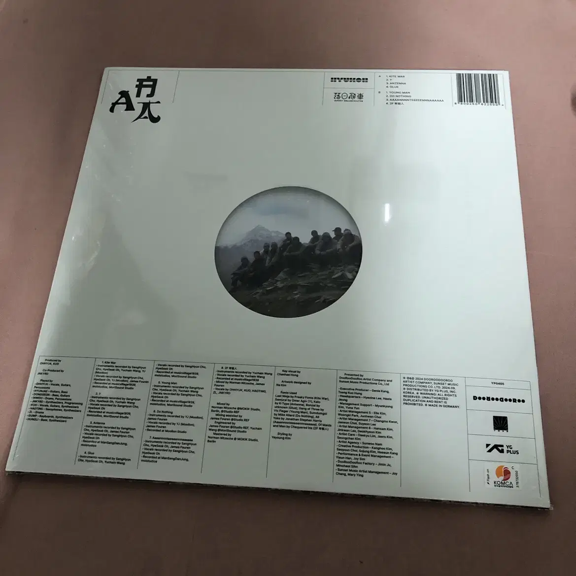 혁오(hyukoh) 선셋 롤러코스터 aaa LP