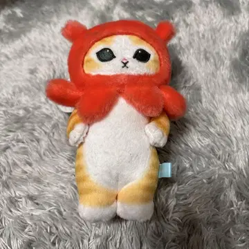 mofsand 모프샌드 모프샌드 해양생물 고양이 고양이 스캇멘다코냥이