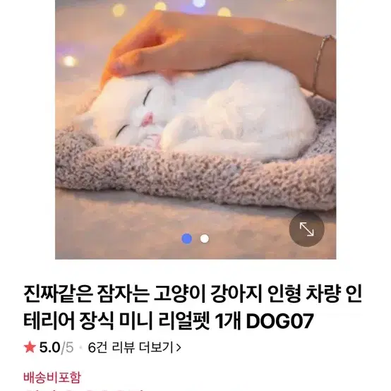 자는 고양이 인형