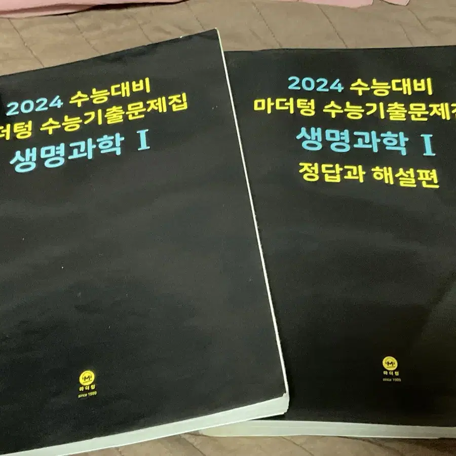 마더텅(2024) 생1