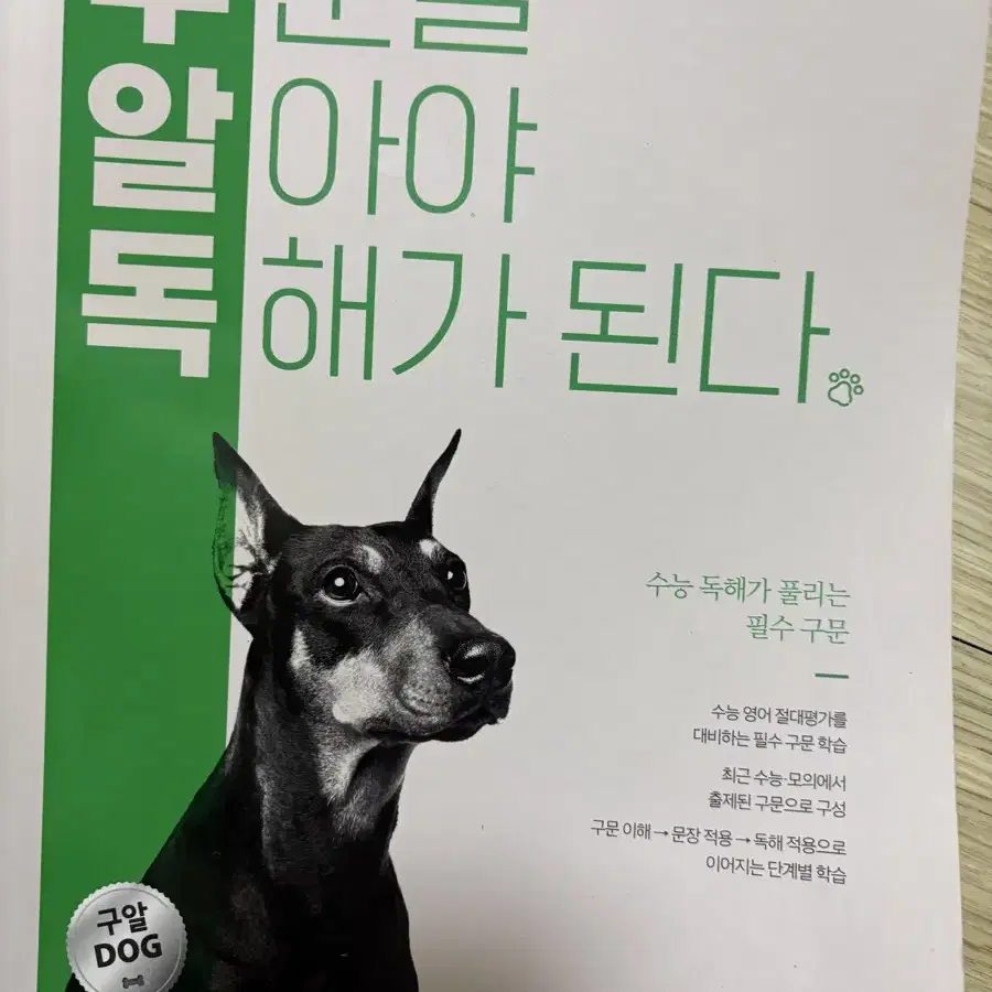 구알독 영어