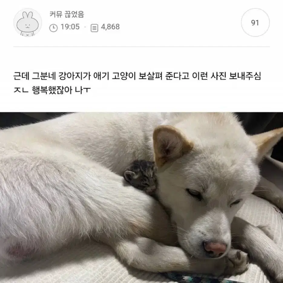 빈티지 교신 가능 환영 에이블리 지그재그 교환 모리걸 하구미 슬리브리스