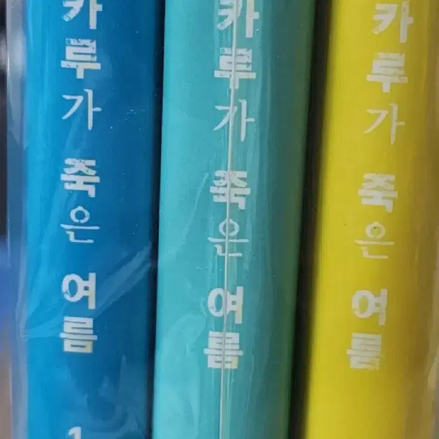 히카루가 죽은 여름 1,2,3,2특장판 일괄