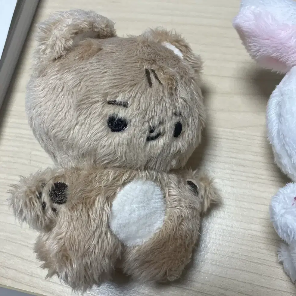 더보이즈 인형 콩째 현재