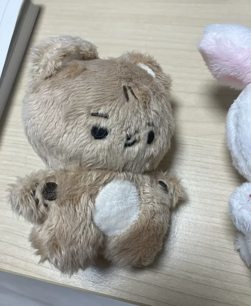 더보이즈 인형 콩째 현재