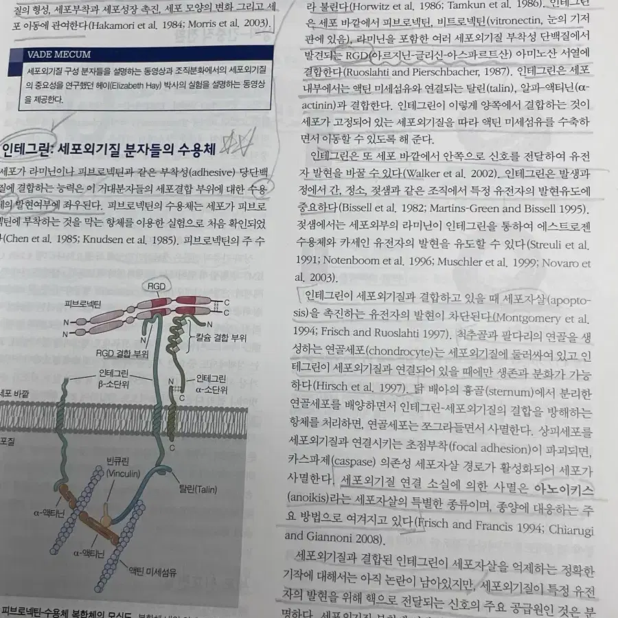 발생생물학 제11판