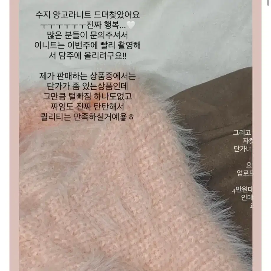 수지 앙고라 브이넥 니트 오프더레코드