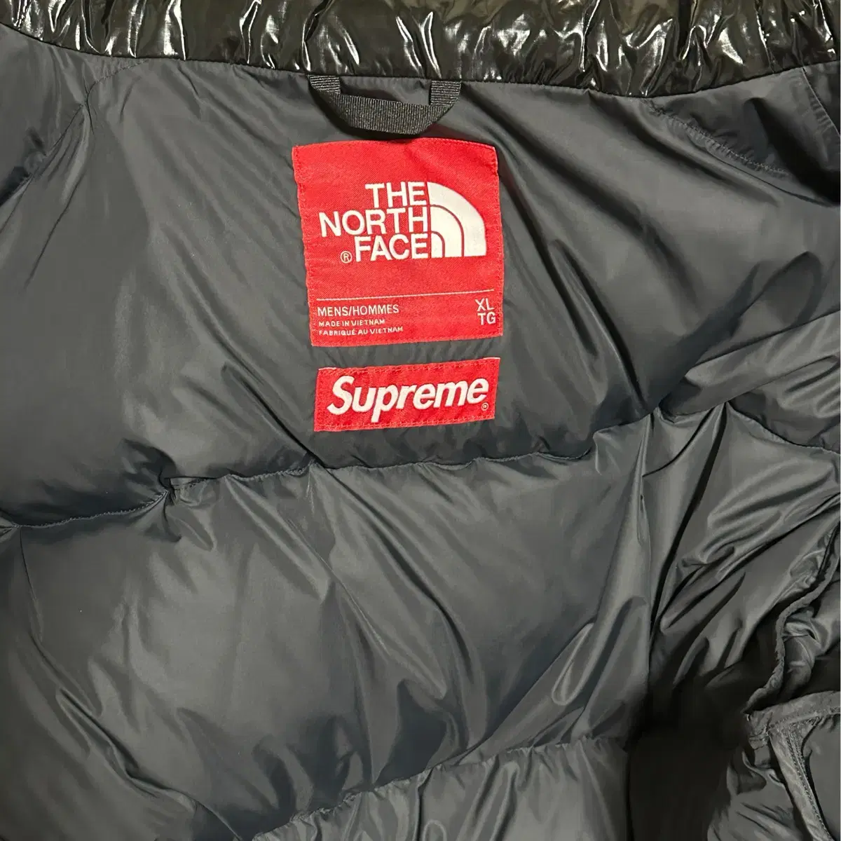 Supreme x The North Face 700-Fill XL