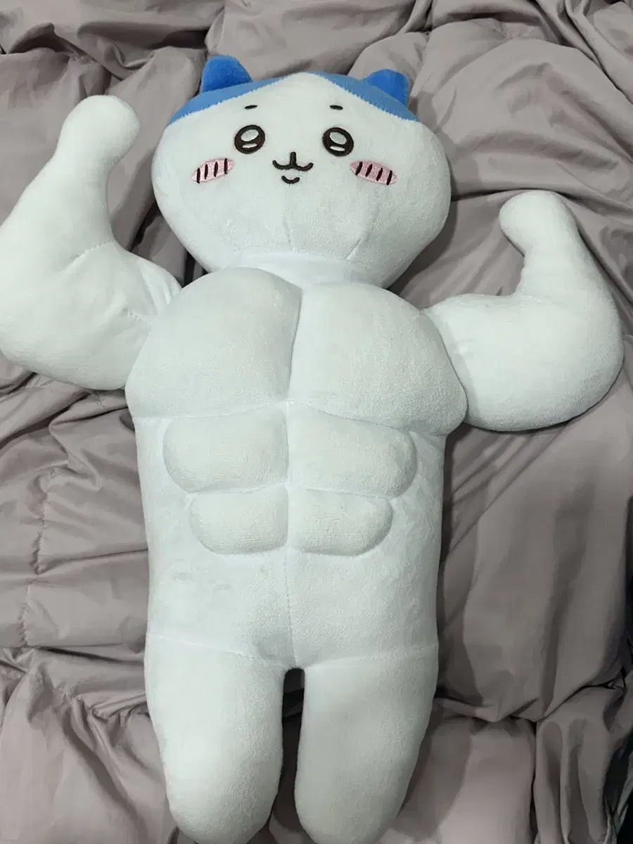 대왕 하치와레 인형