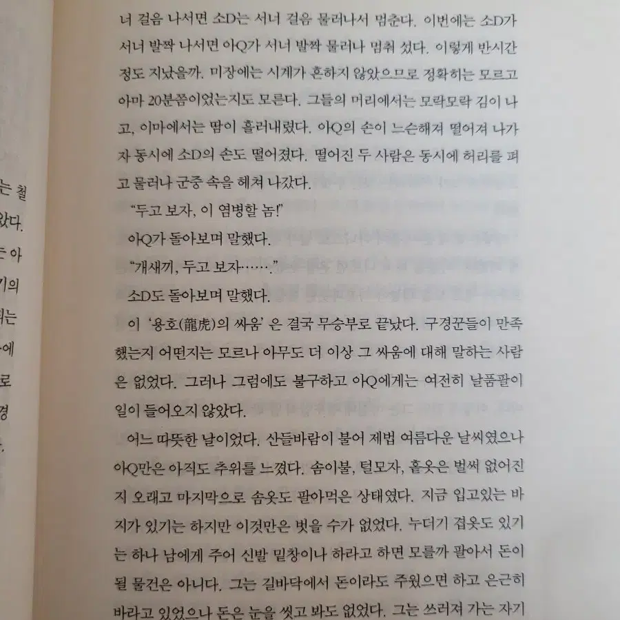 노신 아Q정전 소설, 문학책