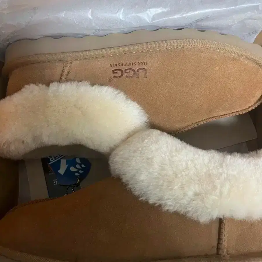 ugg 어그 새상품 270