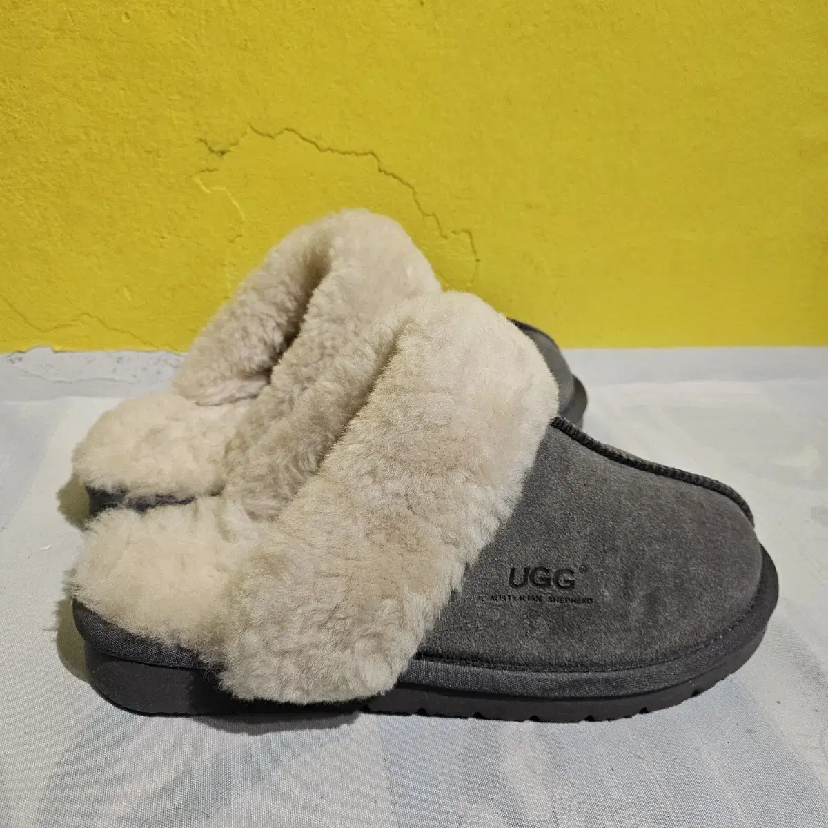 ugg 어그슬리퍼 us w6 230