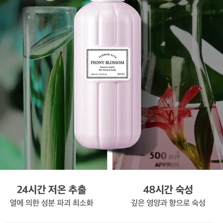 (새상품) 반디 피오니블라썸 바디로션 1000ml 플라워비타 에센스로션