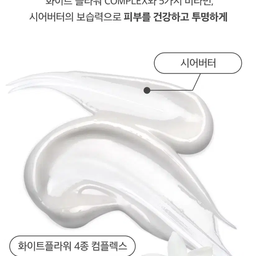 (새상품) 반디 피오니블라썸 바디로션 1000ml 플라워비타 에센스로션