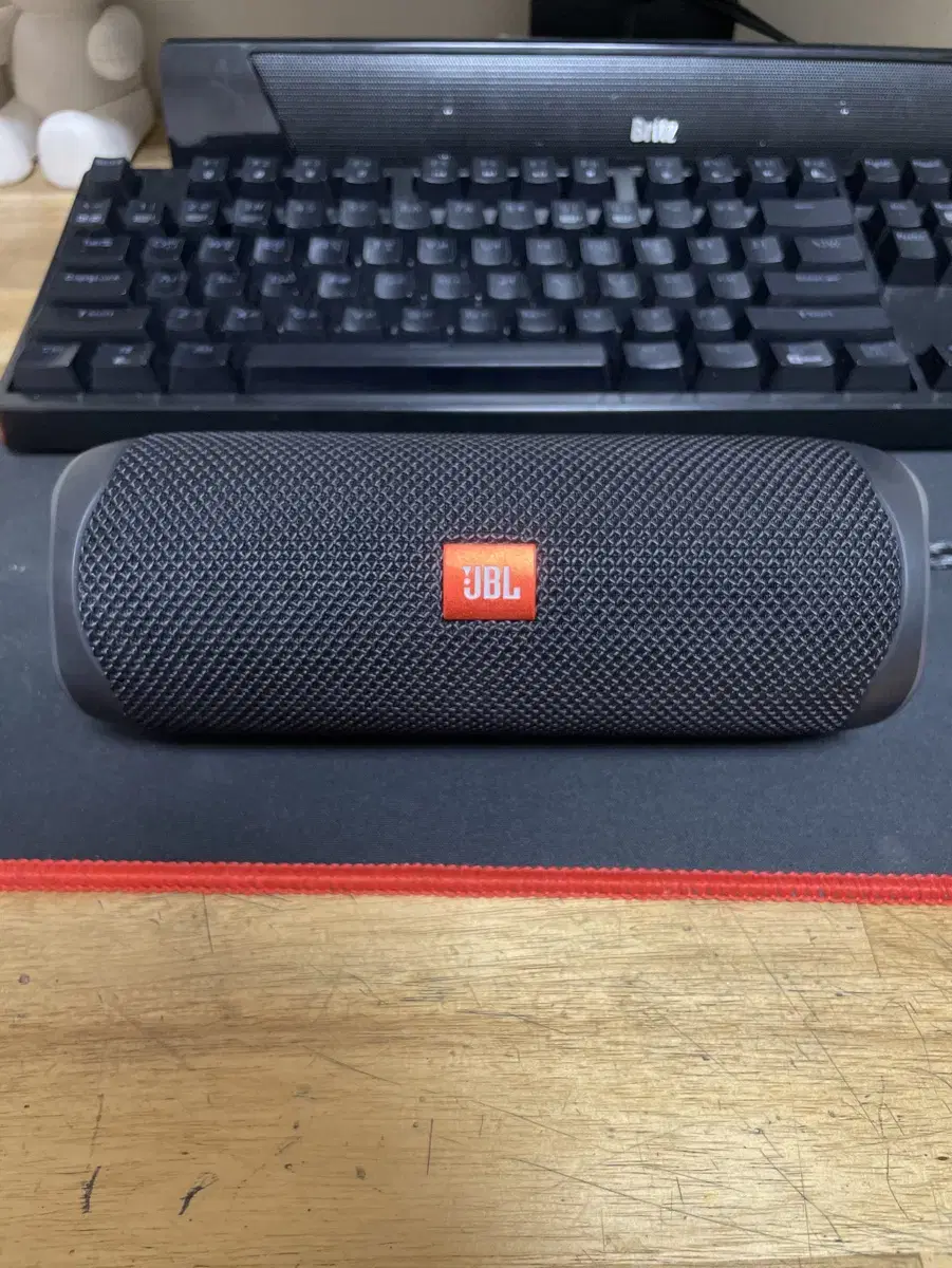 JBL FLIP 5 (무하자)