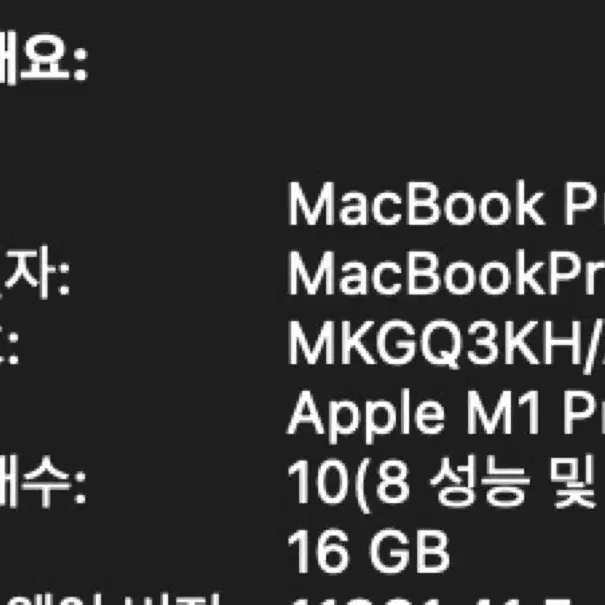 맥북프로 M1 Pro 14인치 고급형