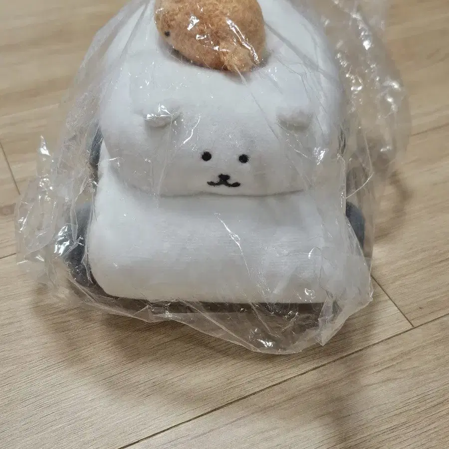 농담곰 자동차