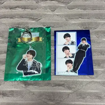 ICEx 아구네 온세 에비라이 아크릴 키링 아크링 키링 스티커
