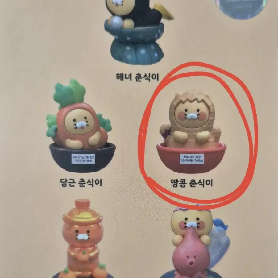 <삽니다> 땅콩 춘식이(제주 춘식이 랜덤피규어)