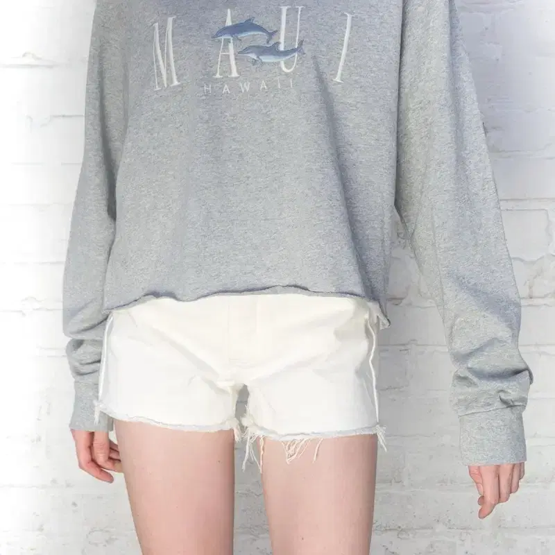 Brandy Melville 브랜디멜빌 맨투맨